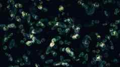 细菌微生物显微镜关闭