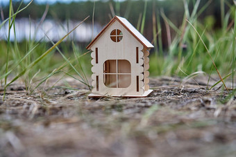 微型木房子户外自然真正的房地产概念现代住房环保能源非常高效。房子购买首页城市新鲜的空气