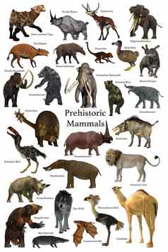 史前哺乳动物