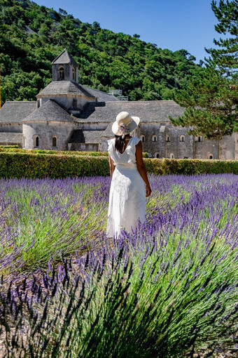 senanque修道院Gordes普罗旺斯薰衣草字段巴黎圣母院senanque盛开的紫色的蓝色的薰衣草字段吕贝隆法国