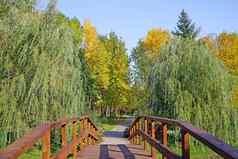 小桥池塘公园