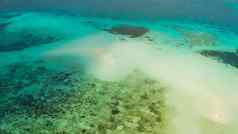 海景热带岛屿珊瑚礁巴拉巴克巴拉望省菲律宾