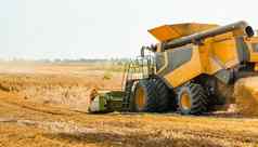 旋转稻草沃克减少脱粒成熟的小麦粮食结合矿车粮食头宽糠撒布机收获麦片耳朵收集作物农业机械场夏天季节