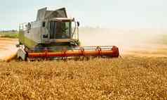 旋转稻草沃克减少脱粒成熟的小麦粮食男人。结合矿车粮食头宽糠撒布机收获麦片耳朵收集作物农业机械场夏天