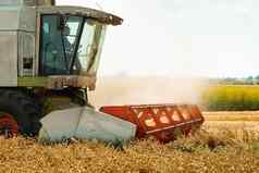 旋转稻草沃克减少脱粒成熟的小麦粮食男人。结合矿车粮食头宽糠撒布机收获麦片耳朵收集作物农业机械场夏天