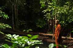 甲米泰国少数民族和尚男人。野生热带森林一边视图少数民族亚洲男人。橙色袍站和平绿色热带丛林森林