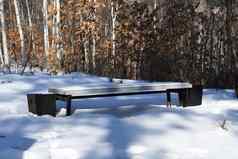 白雪覆盖的板凳上娱乐公园
