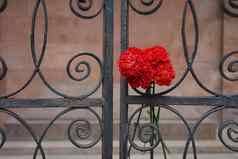 花束红色的康乃馨金属栅栏康德的坟墓
