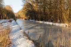 河冬天雪水润灌木