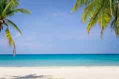热带自然清洁海滩白色沙子夏天太阳光蓝色的天空背景