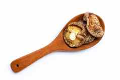 干香菇蘑菇木勺子白色