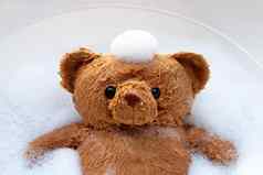 浸泡玩具熊洗衣洗涤剂水解散洗洗衣概念前视图