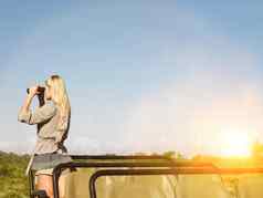 年轻的金发碧眼的女人Safari站吉普车双筒望远镜