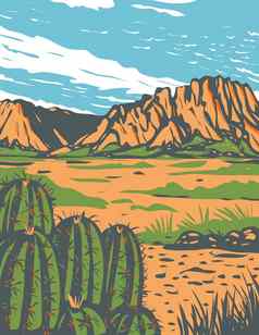 奇瓦瓦沙漠覆盖部分大弯曲国家公园墨西哥西南曼联州水渍险海报艺术