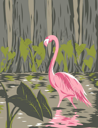 火烈鸟埃弗格莱兹国家公园位于佛罗里达曼联州美国水渍险海报艺术