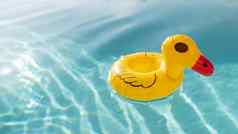 可爱的黄色的橡胶鸭浮动蓝色的水池