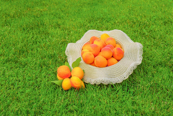 清洁吃健康的水果夏天食物排毒汁大杏子他当地的生产收获水果概念群成熟的有机杏子新鲜收获杏子水果绿色草背景