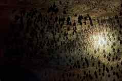 群蝙蝠睡眠天花板洞穴手电筒洞穴蝙蝠