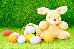 兔子玩具复活节鸡蛋篮子