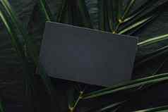 黑色的业务卡平铺黑暗石头背景绿色异国情调的叶奢侈品品牌平躺品牌身份设计模型