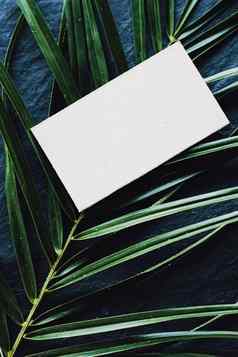白色业务卡平铺黑暗石头背景绿色异国情调的叶奢侈品品牌平躺品牌身份设计模型
