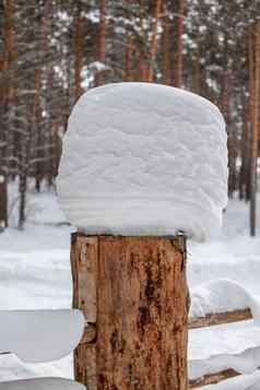 大雪帽树桩栅栏冬天