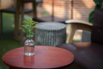 绿色植物叶子能装修咖啡馆