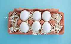 白色新鲜的有机鸡蛋米色环保纸板蛋容器蓝色的背景复活节概念生态浪费