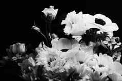 花花束美丽的花安排有创意的花植物区系设计经典黑色的白色单色
