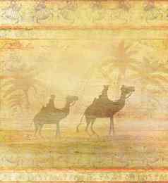 骆驼火车的轮廓天空穿越撒哈拉沙漠沙漠摘要难看的东西卡