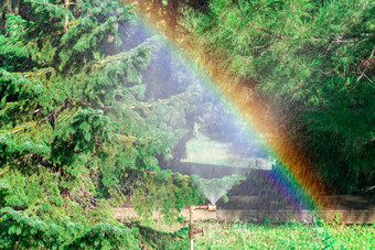 彩虹<strong>水喷雾</strong>花园阳光明媚的夏天一天前面视图