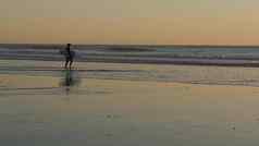 冲浪者轮廓太平洋海洋海滩日落人享受冲浪海滨加州美国