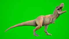 愤怒的霸王龙恐龙运行循环无缝的动画爬行动物前面绿色屏幕呈现