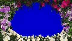 分支机构美丽的热带植物风美丽的夏天前面蓝色的屏幕背景呈现