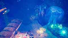 令人难以置信的热带水下居民海洋生活热带美丽的水下海洋景观水母鱼藻类开放海盗胸部黄金钻石呈现