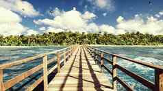 相机苍蝇木桥热带岛异国情调的白色海滩绿色棕榈树蓝色的天空太阳呈现