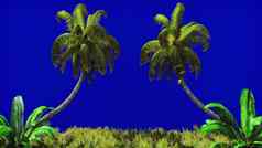 分支机构棕榈树热带植物风蓝色的屏幕美丽的夏天背景呈现