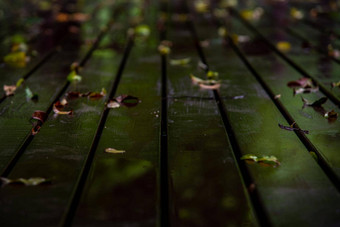 特写镜头照片棕色（的）乡村木板材地板上下降叶子雨反<strong>射灯</strong>复制空间