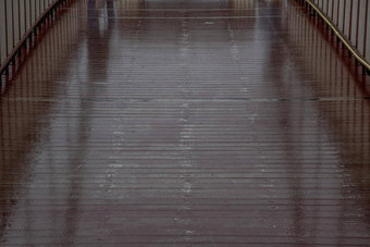 特写镜头照片木桥地板上雨反射灯