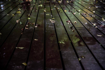 特写镜头照片棕色（的）乡村木板材地板上下降叶子雨反<strong>射灯</strong>复制空间