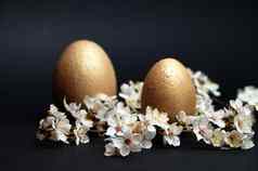 金鸡蛋开花分支黑色的背景复活节概念