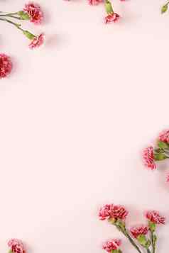 设计概念母亲的一天假期问候康乃馨花束粉红色的表格背景