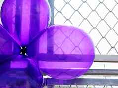 紫色的聚会，派对气球