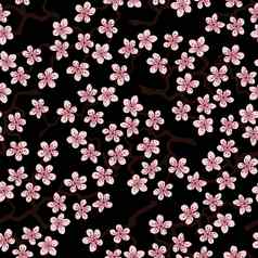 无缝的模式开花日本樱桃樱花分支机构粉红色的花黑色的背景