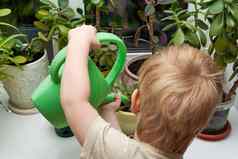 男孩水域室内植物绿色浇水