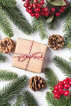 圣诞节假期浪费纸礼品盒包装标签松视锥细胞冷杉分支机构