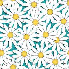 美丽的现代背景无缝的模式白色洋甘菊花减少纸花时尚有创意的壁纸时尚的自然春天夏天背景图形设计