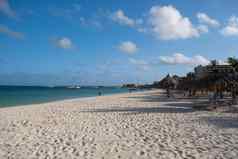 棕榈海滩阿鲁巴岛令人惊异的热带海滩棕榈树进入海洋天蓝色海洋黄金沙子蓝色的天空