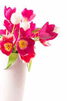 郁金香叶子花瓶孤立的透明的背景照片新鲜的春天花节日设计