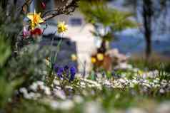 春天时间花风景色彩斑斓的春天花
